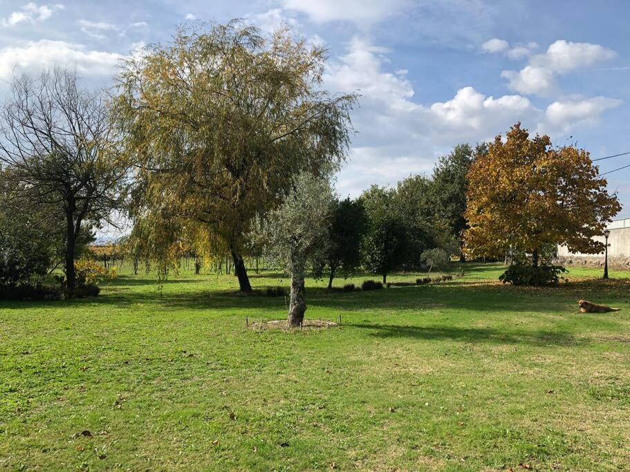 Maison Avec Piscine : Quinta Do Sol Amarante Esterno foto